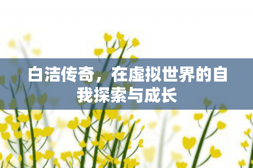 白洁传奇，在虚拟世界的自我探索与成长