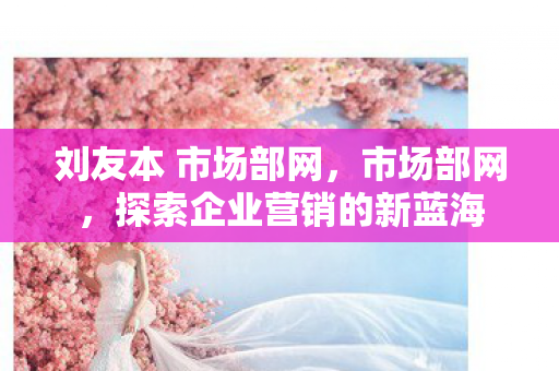 刘友本 市场部网，市场部网，探索企业营销的新蓝海