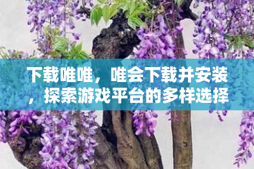 下载唯唯，唯会下载并安装，探索游戏平台的多样选择