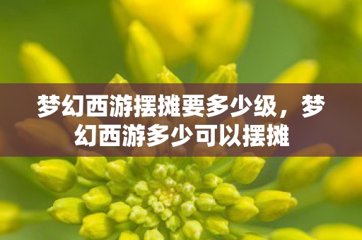 梦幻西游摆摊要多少级，梦幻西游多少可以摆摊