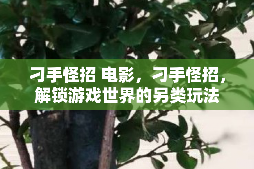 刁手怪招 电影，刁手怪招，解锁游戏世界的另类玩法