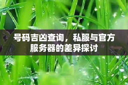 号码吉凶查询，私服与官方服务器的差异探讨