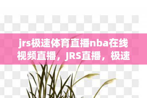 jrs极速体育直播nba在线视频直播，JRS直播，极速体育NBA的观赛新选择