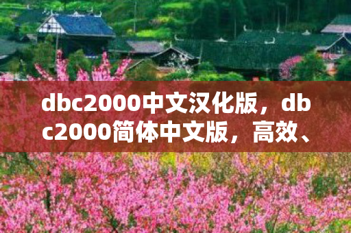 dbc2000中文汉化版，dbc2000简体中文版，高效、安全的企业级数据库解决方案