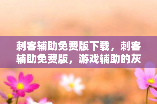 刺客辅助免费版下载，刺客辅助免费版，游戏辅助的灰色地带