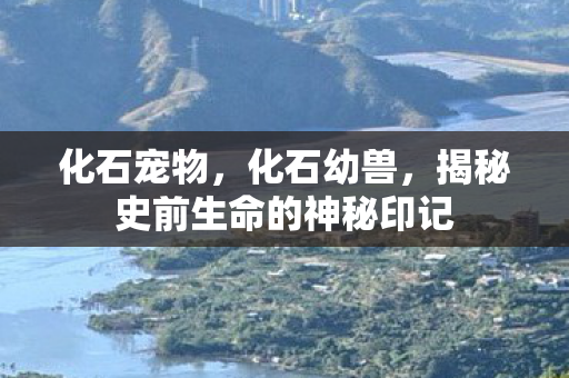 化石宠物，化石幼兽，揭秘史前生命的神秘印记