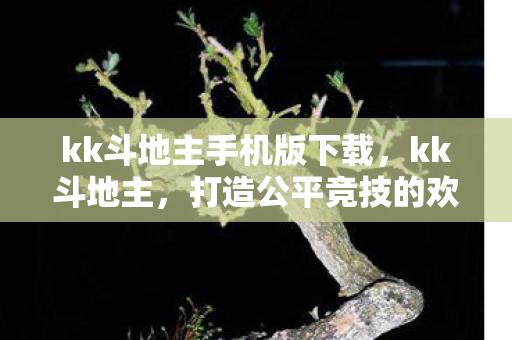 kk斗地主手机版下载，kk斗地主，打造公平竞技的欢乐牌桌