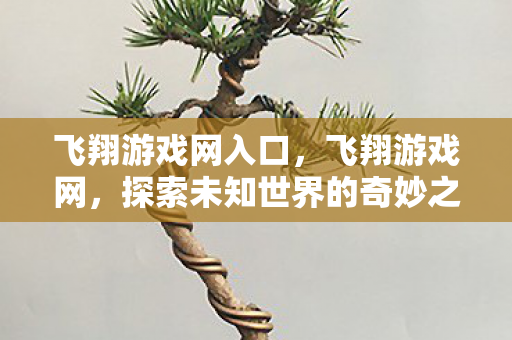 飞翔游戏网入口，飞翔游戏网，探索未知世界的奇妙之旅
