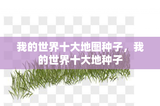 我的世界十大地图种子，我的世界十大地种子