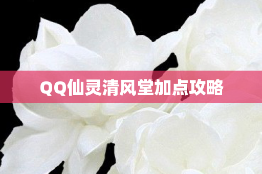 QQ仙灵清风堂加点攻略