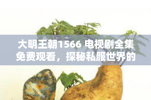 大明王朝1566 电视剧全集免费观看，探秘私服世界的独特魅力，为何玩家趋之若鹜？