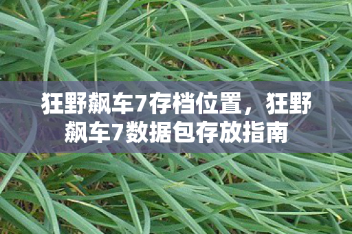 狂野飙车7存档位置，狂野飙车7数据包存放指南