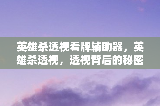 英雄杀透视看牌辅助器，英雄杀透视，透视背后的秘密与游戏公平性探讨