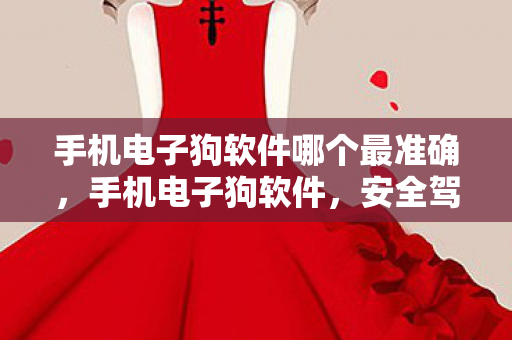 手机电子狗软件哪个最准确，手机电子狗软件，安全驾驶的得力助手