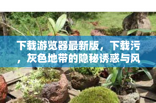 下载游览器最新版，下载污，灰色地带的隐秘诱惑与风险