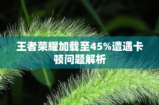 王者荣耀加载至45%遭遇卡顿问题解析