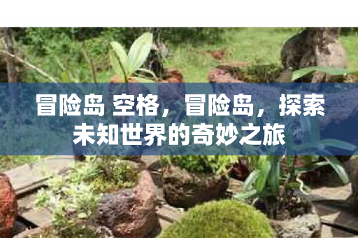 冒险岛 空格，冒险岛，探索未知世界的奇妙之旅