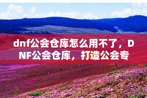 dnf公会仓库怎么用不了，DNF公会仓库，打造公会专属的宝藏库