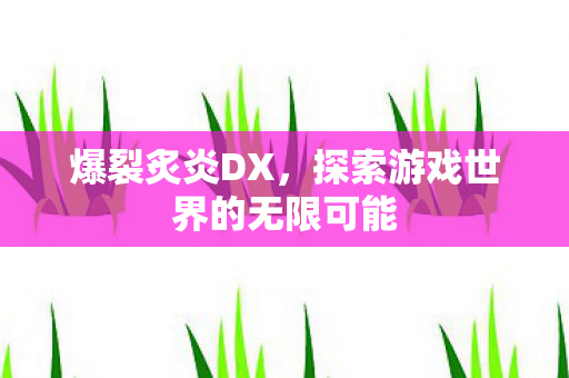 爆裂炙炎DX，探索游戏世界的无限可能