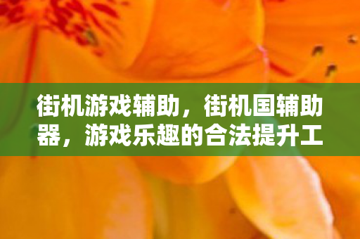 街机游戏辅助，街机国辅助器，游戏乐趣的合法提升工具