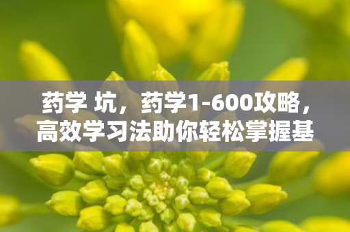 药学 坑，药学1-600攻略，高效学习法助你轻松掌握基础知识
