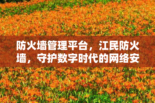 防火墙管理平台，江民防火墙，守护数字时代的网络安全