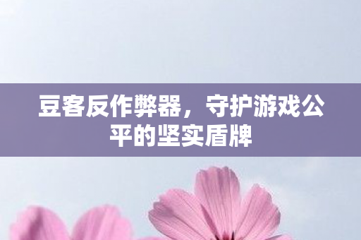 豆客反作弊器，守护游戏公平的坚实盾牌
