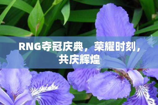 RNG夺冠庆典，荣耀时刻，共庆辉煌