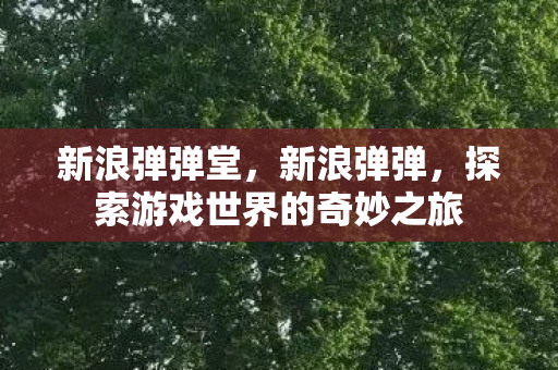 新浪弹弹堂，新浪弹弹，探索游戏世界的奇妙之旅