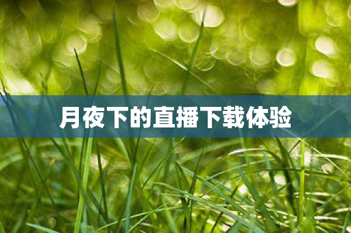 月夜下的直播下载体验