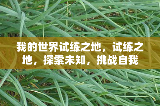 我的世界试练之地，试练之地，探索未知，挑战自我