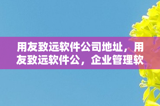 用友致远软件公司地址，用友致远软件公，企业管理软件的智慧之选