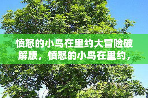 愤怒的小鸟在里约大冒险破解版，愤怒的小鸟在里约，一场梦幻的冒险之旅