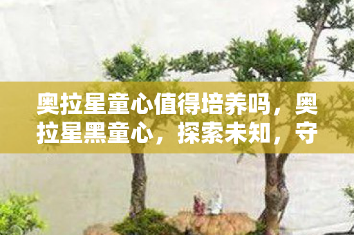 奥拉星童心值得培养吗，奥拉星黑童心，探索未知，守护童真