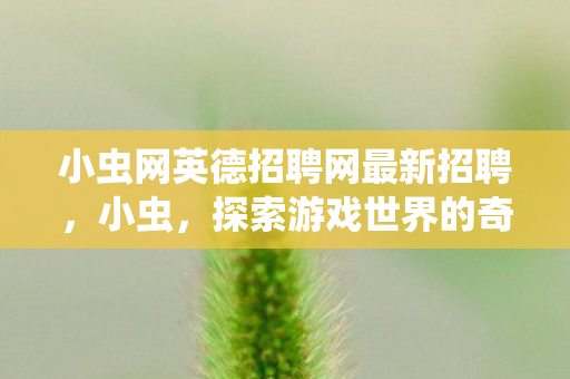 小虫网英德招聘网最新招聘，小虫，探索游戏世界的奇妙之旅