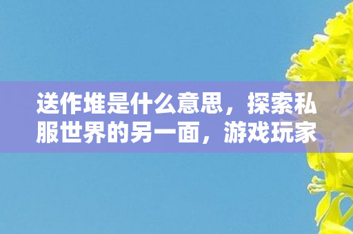 送作堆是什么意思，探索私服世界的另一面，游戏玩家的自由与限制