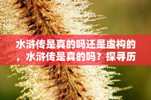 水浒传是真的吗还是虚构的，水浒传是真的吗？探寻历史与传说的交织