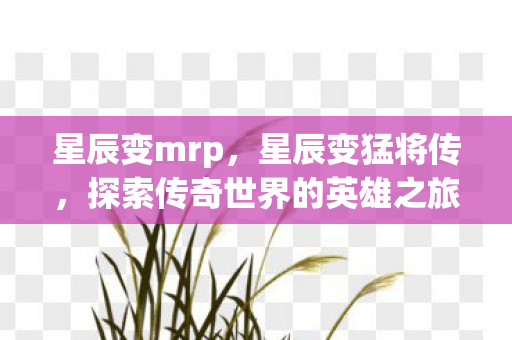 星辰变mrp，星辰变猛将传，探索传奇世界的英雄之旅