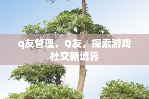 q友管理，Q友，探索游戏社交新境界