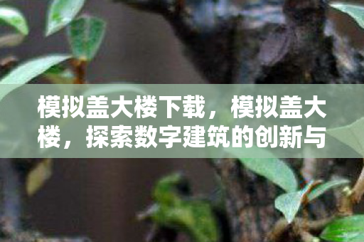 模拟盖大楼下载，模拟盖大楼，探索数字建筑的创新与未来