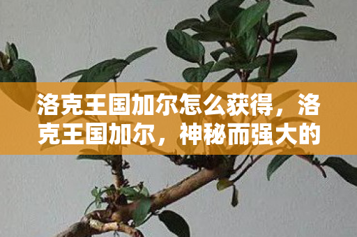 洛克王国加尔怎么获得，洛克王国加尔，神秘而强大的守护者