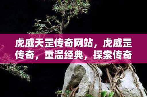 虎威天罡传奇网站，虎威罡传奇，重温经典，探索传奇世界的无限可能