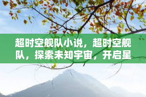 超时空舰队小说，超时空舰队，探索未知宇宙，开启星际征途