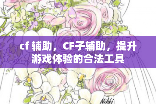 cf 辅助，CF子辅助，提升游戏体验的合法工具