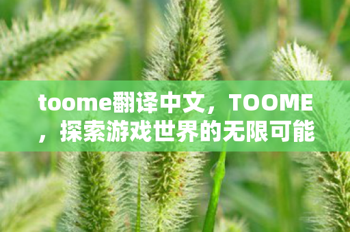 toome翻译中文，TOOME，探索游戏世界的无限可能