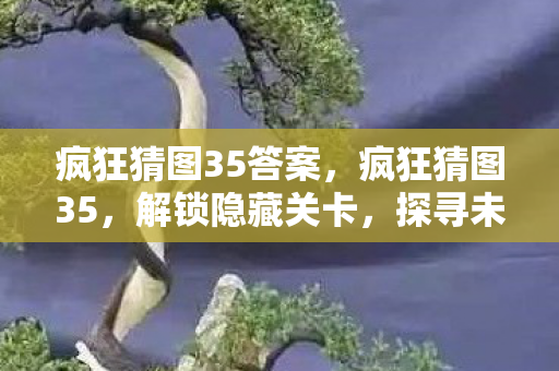 疯狂猜图35答案，疯狂猜图35，解锁隐藏关卡，探寻未知谜题