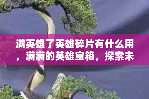 满英雄了英雄碎片有什么用，满满的英雄宝箱，探索未知世界的奇妙之旅