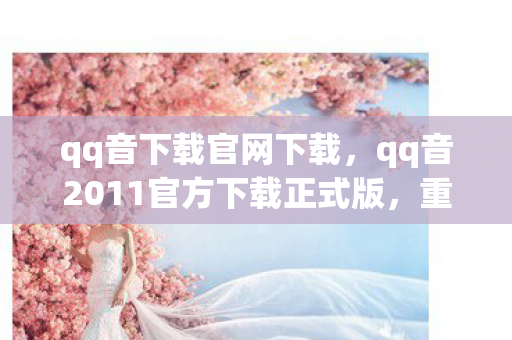 qq音下载官网下载，qq音2011官方下载正式版，重温经典，畅享音乐盛宴