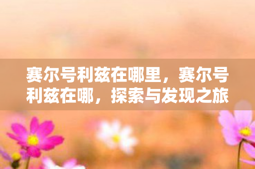 赛尔号利兹在哪里，赛尔号利兹在哪，探索与发现之旅