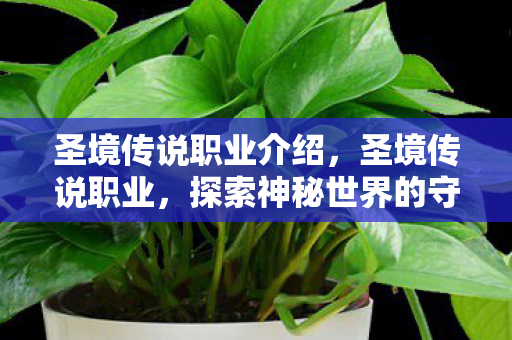 圣境传说职业介绍，圣境传说职业，探索神秘世界的守护者—游侠